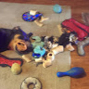 Meet your Posher, Cynthia